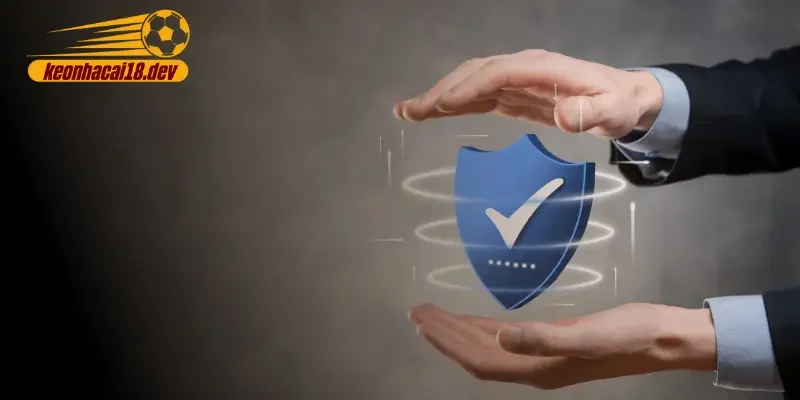 Những nội dung chính được quy định trong điều khoản